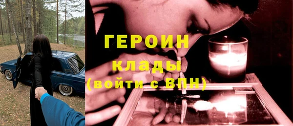 прущие грибы Рославль