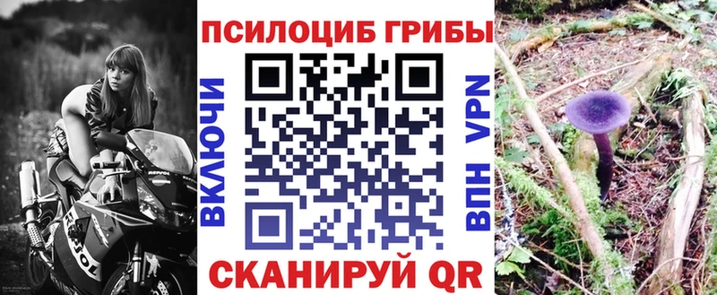 kraken зеркало  Кудрово  Псилоцибиновые грибы прущие грибы  даркнет сайт 