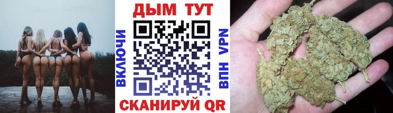 Бошки Шишки план  дарнет шоп  Кудрово 